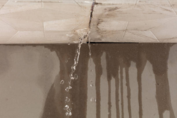 Professional Structural Drying technician working in Hallsville, TX